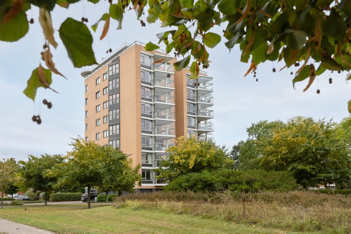 Erasmuspark 118 in Ridderkerk foto