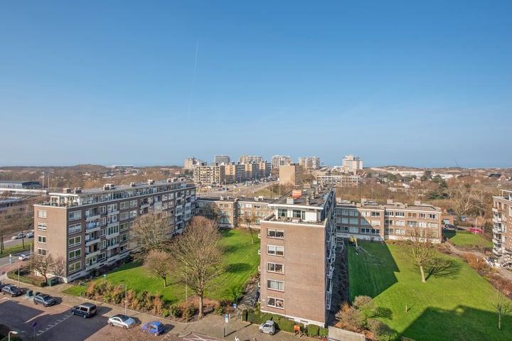 Ericalaan 187 in 's-Gravenhage foto