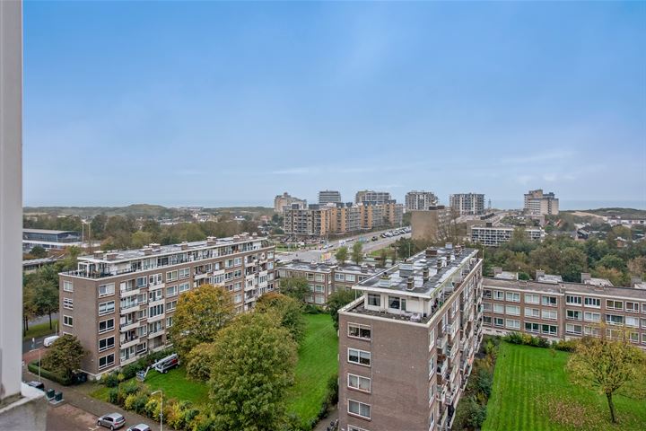 Ericalaan 193 in 's-Gravenhage foto