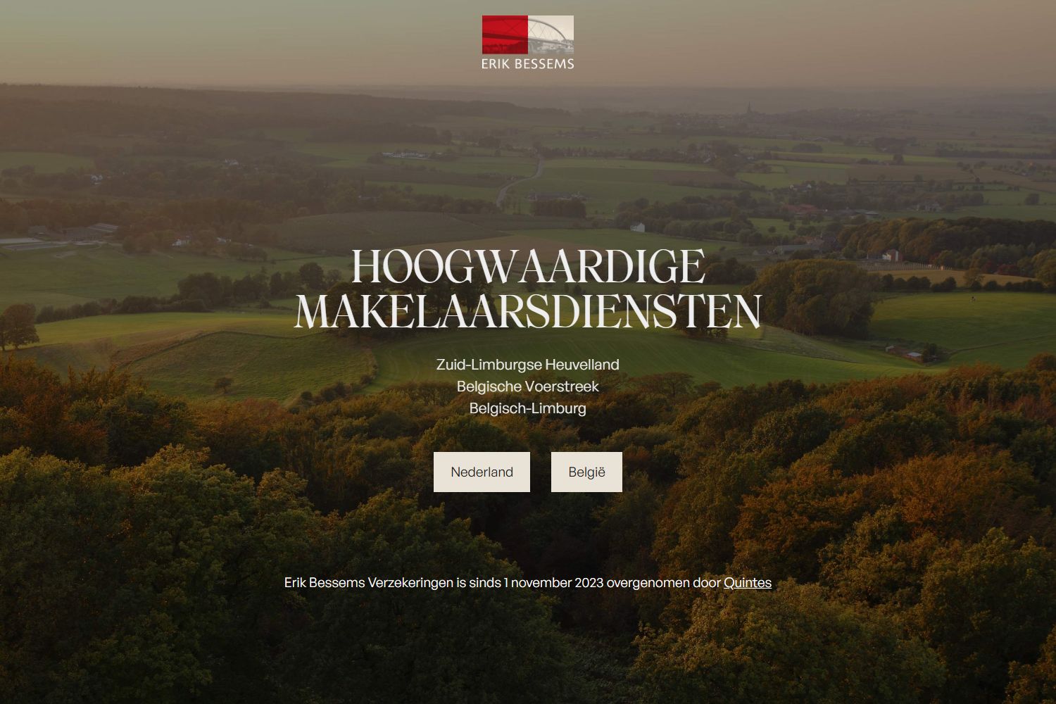 Screenshot van de website van www.erikbessems.com