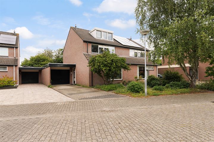 Espalen 7 in 's-Hertogenbosch foto