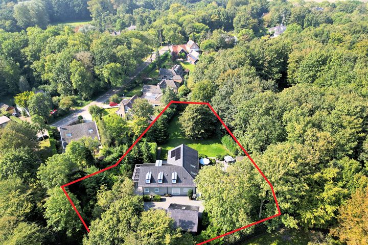 Essebos 3 in Noordgouwe foto