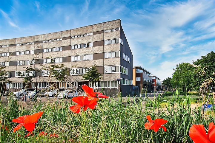 Eurokade 58 in Amsterdam foto