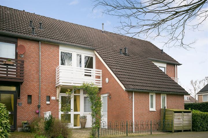 Europa-ring 225 in Wierden foto