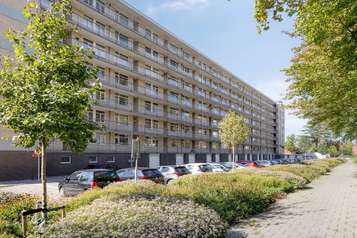 Everaertstraat 219 in Rotterdam