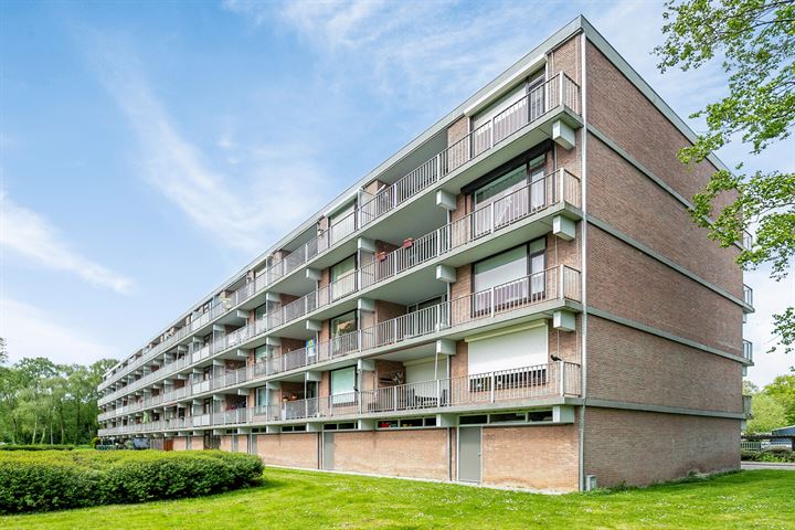 Evertsenlaan 37 in Terneuzen foto