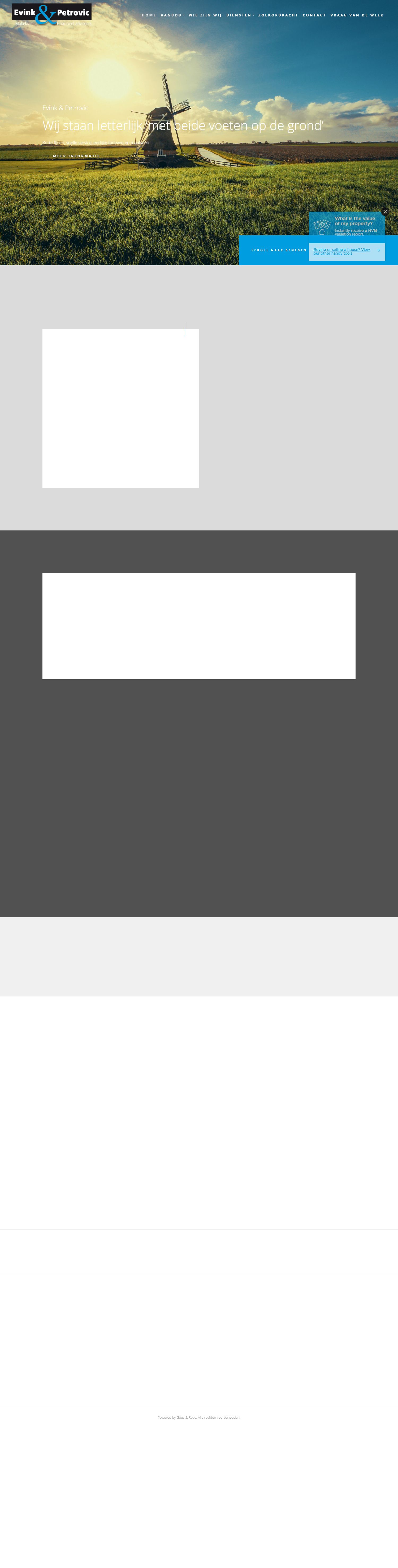 Screenshot van de website van www.evinkenpetrovic.nl