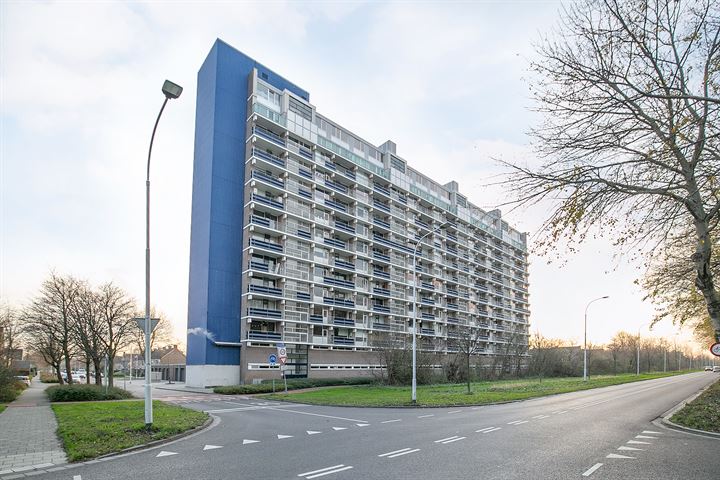 Fahrenheitlaan 622 in Terneuzen foto