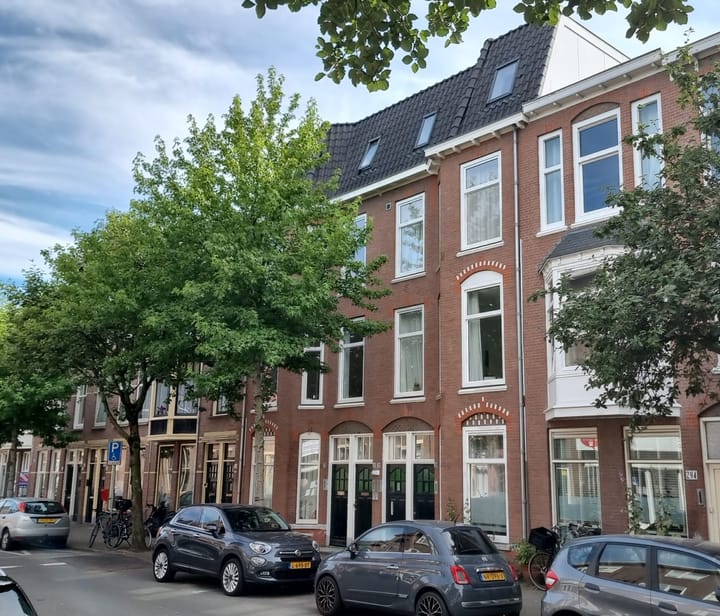 Fahrenheitstraat 288 in 's-Gravenhage foto