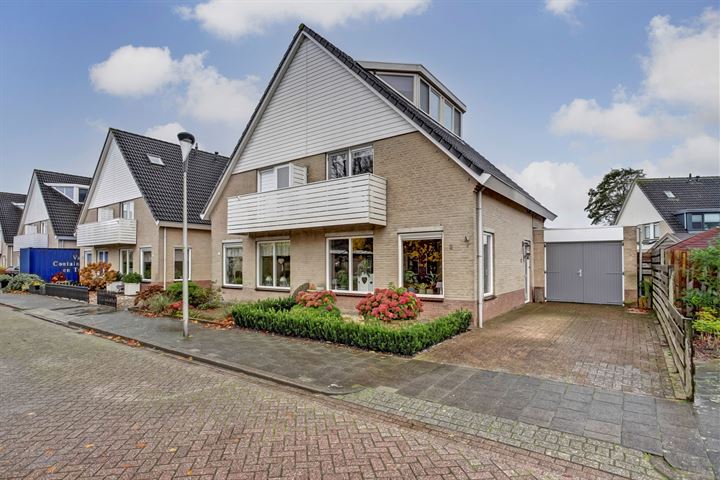 Fazant 2 in Spanbroek