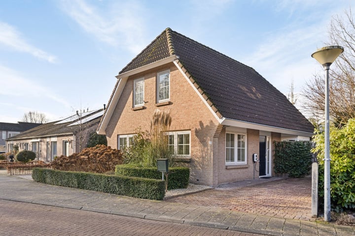 Fazant 21 in Veldhoven foto