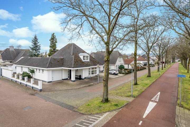 Fazant 29 in Veldhoven foto
