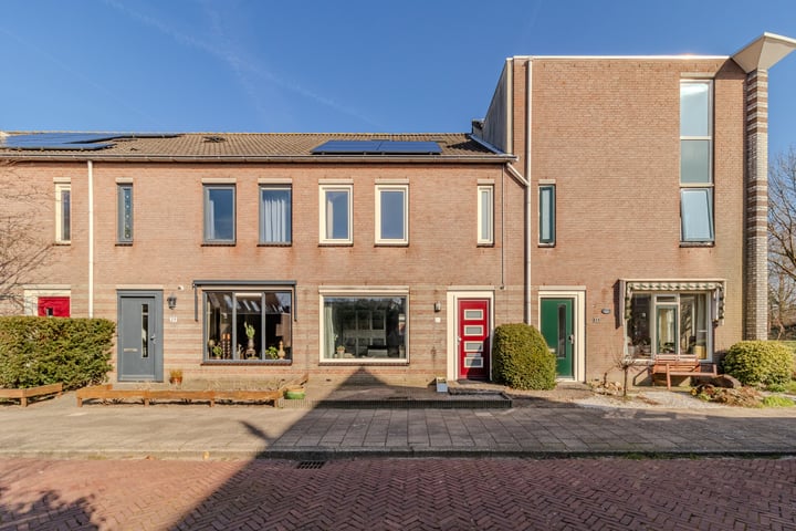 Fazant 31 in Heemskerk foto