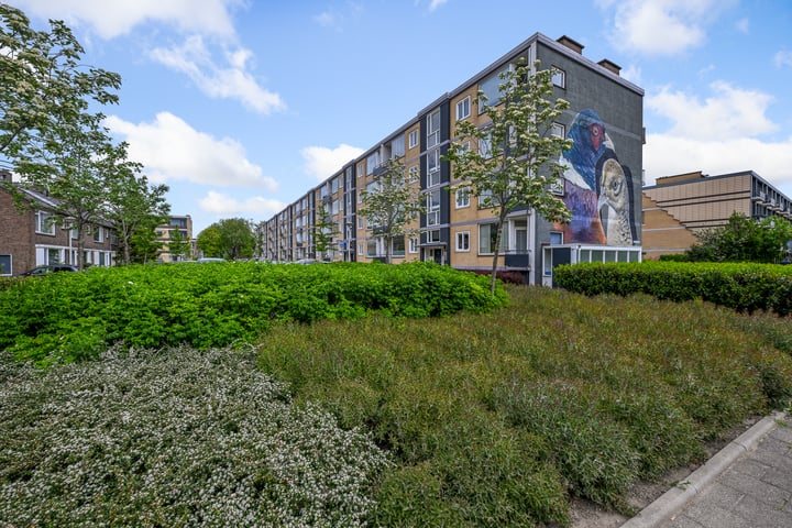 Fazantstraat 16 in Alphen aan den Rijn foto