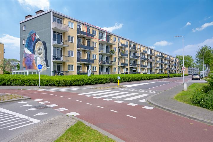 Fazantstraat 24 in Alphen aan den Rijn foto