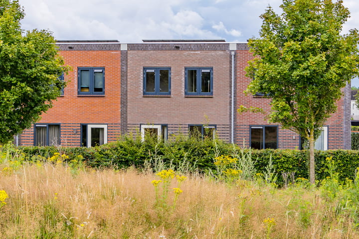 Fibula 21 in Borger foto