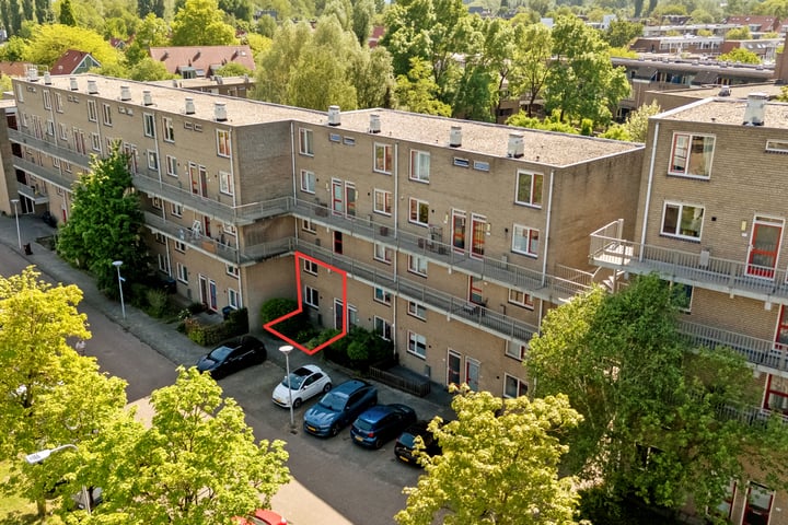 Fivelingo 93 in Utrecht