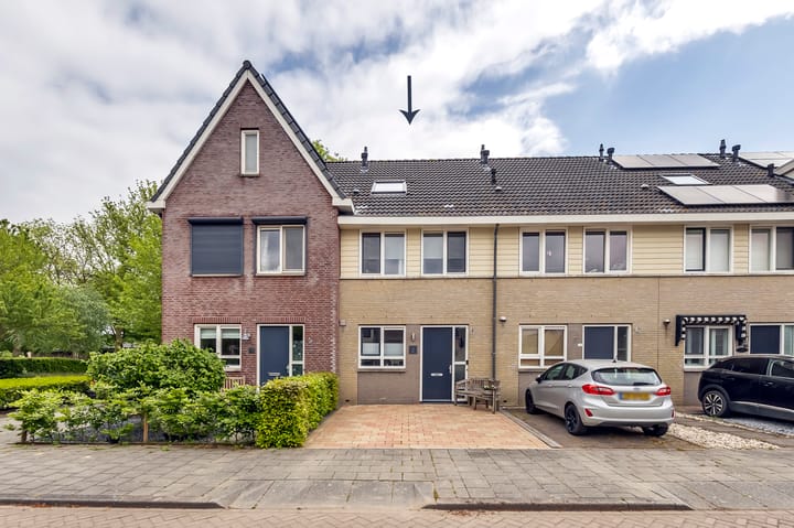 Flank 12 in Vuren foto