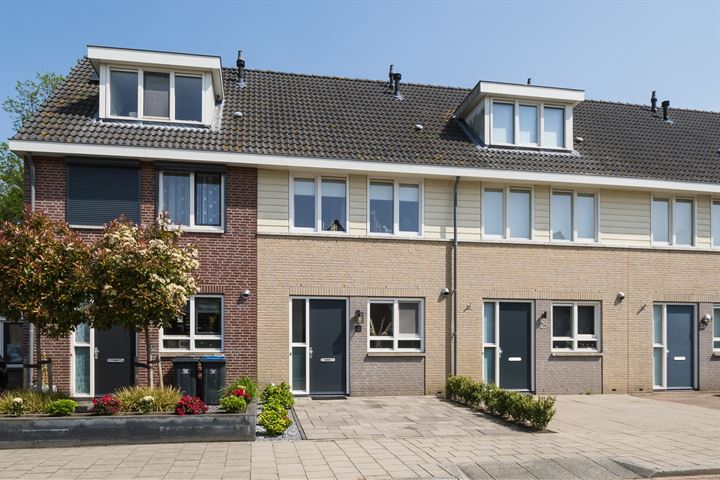 Flank 24 in Vuren foto