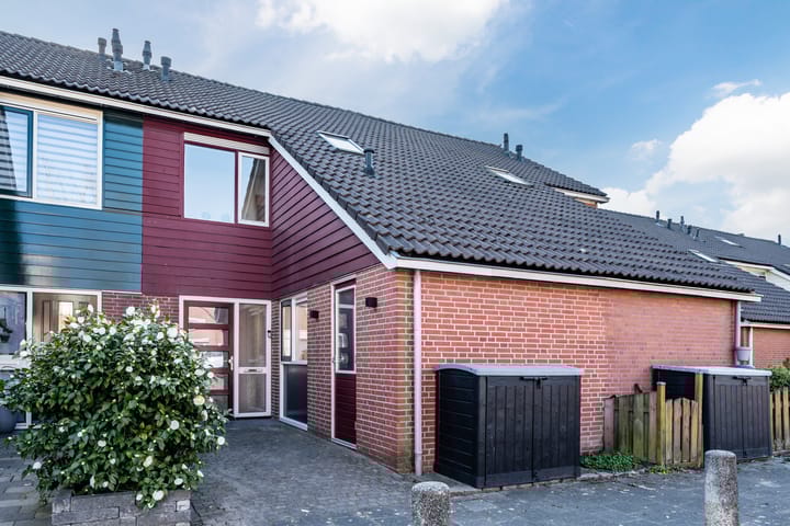 Fluitekruid 11 in Bodegraven foto