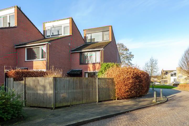 Fluitekruid 34 in Bodegraven foto