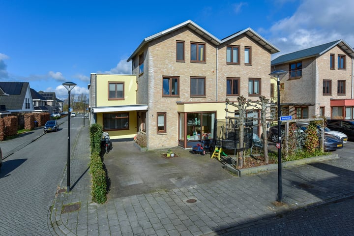 Fluitekruid 36 in Mijdrecht foto