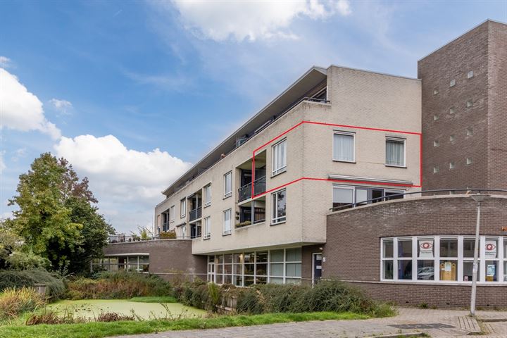 Fluitekruid 38 in Den Hoorn foto