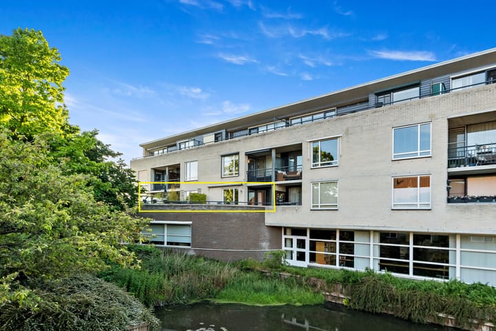 Fluitekruid 6 in Den Hoorn foto