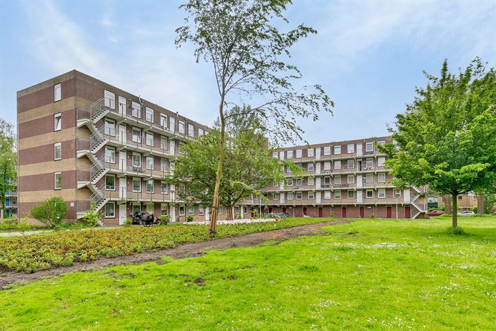 Fluitekruidweg 100 in Zaandam foto