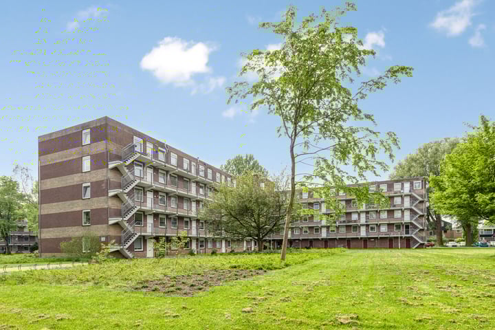 Fluitekruidweg 160 in Zaandam