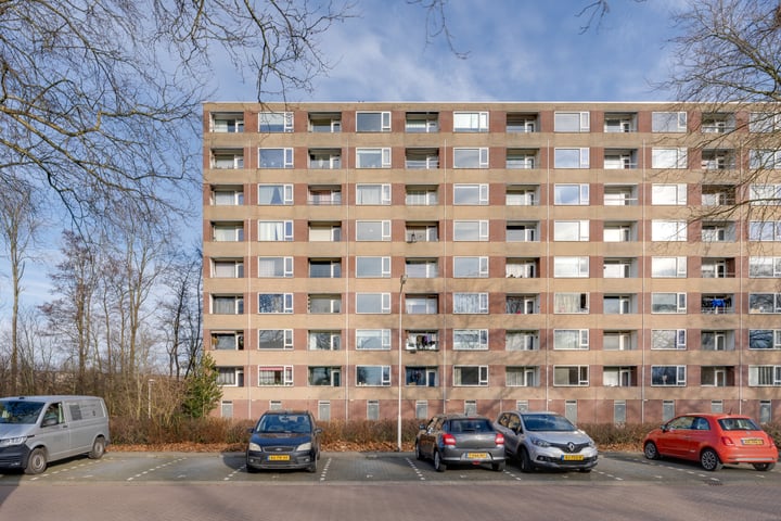 Fluitekruidweg 163 in Zaandam foto