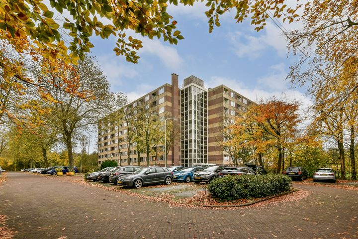Fluitekruidweg 305 in Zaandam foto