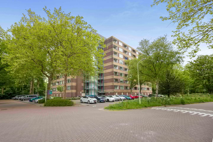 Fluitekruidweg 51 in Zaandam foto