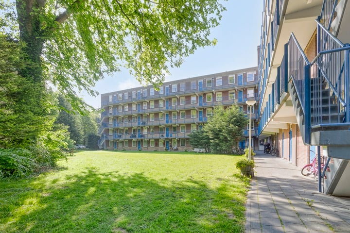 Foto van woning Fluitekruidweg 62, Zaandam
