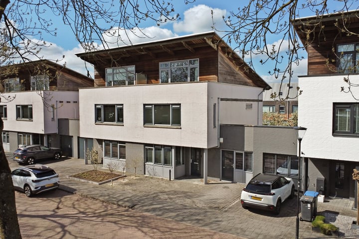 Fluitenkruid 32 in 's-Hertogenbosch foto