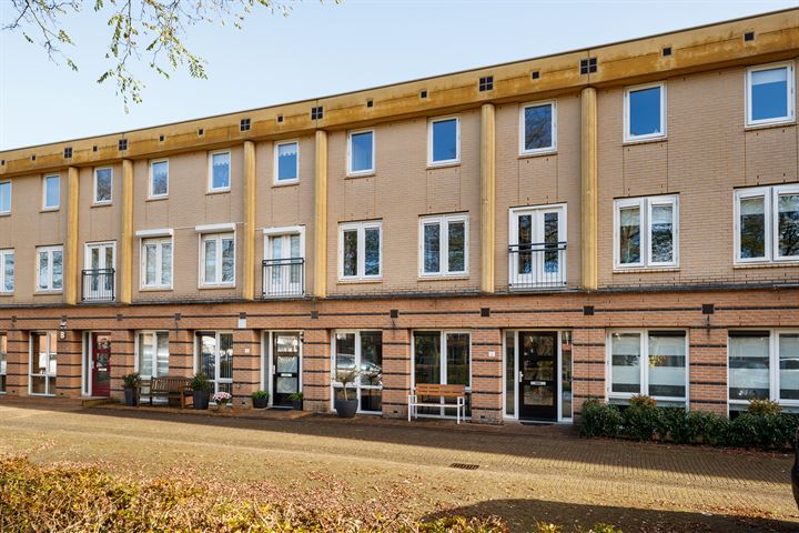 Fluweelmos 12 in Houten foto