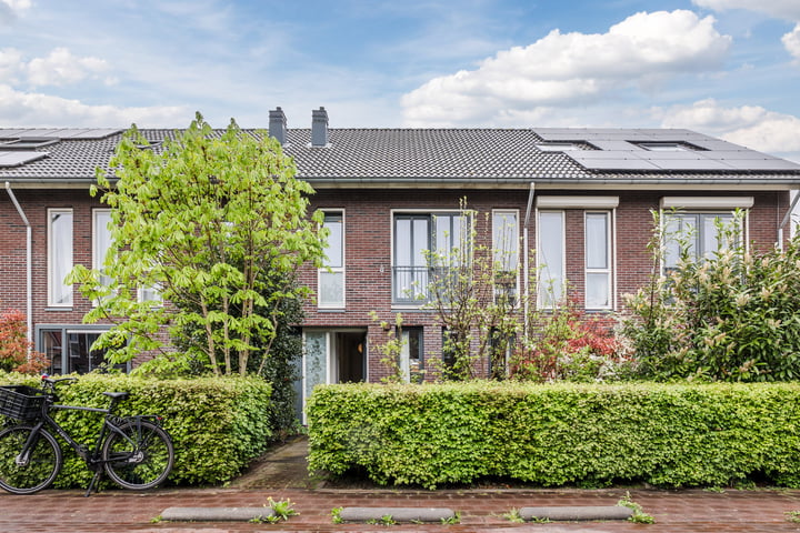 Fonteinkruid 36 in Meppel