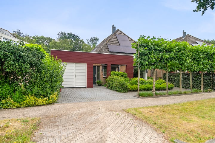 Fonteinkruid 5 in Heerenveen foto