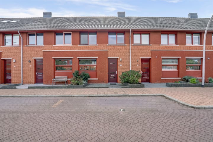 Fonteinkruid 50 in Hendrik-Ido-Ambacht foto