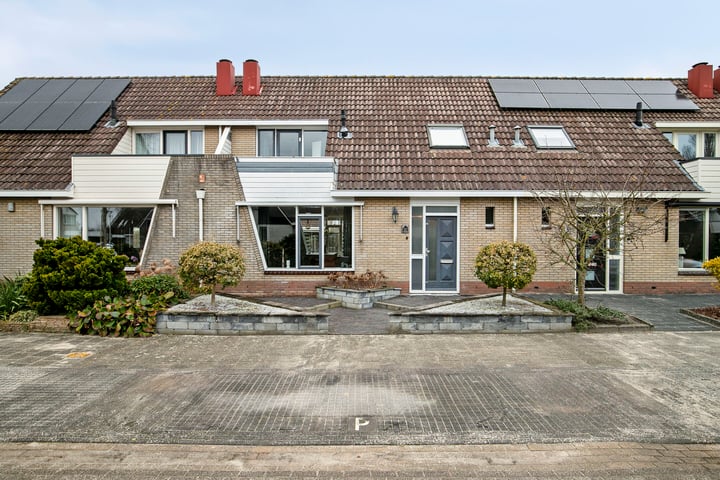 Fonteinkruid 51 in Kampen foto