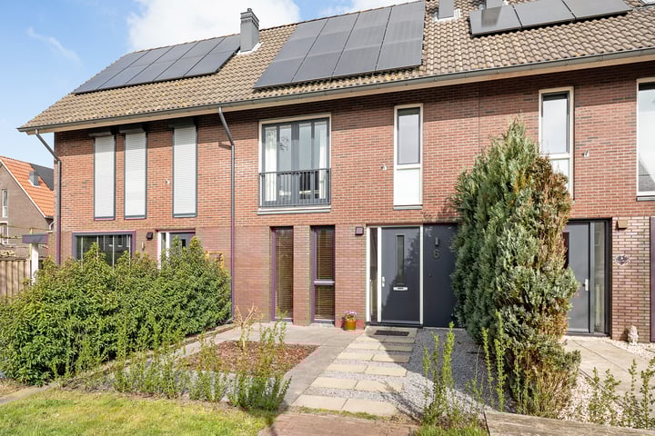 Fonteinkruid 6 in Meppel foto