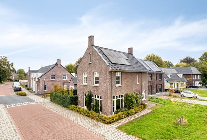 Fonteinkruid 9 in Berlicum foto