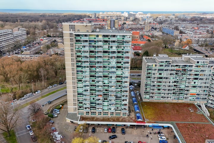 Forellendaal 128 in 's-Gravenhage foto