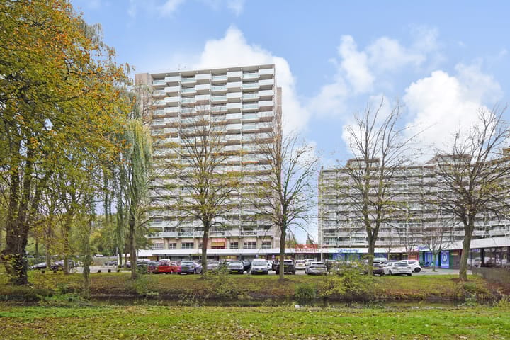 Forellendaal 188 in 's-Gravenhage foto