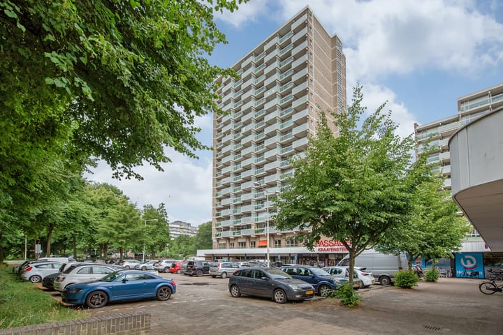 Forellendaal 26 in 's-Gravenhage