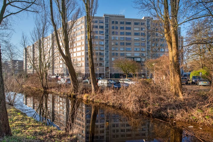 Forellendaal 782 in 's-Gravenhage