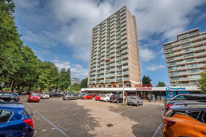 Forellendaal 84 in 's-Gravenhage foto