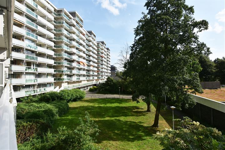 Forellendaal 854 in 's-Gravenhage foto