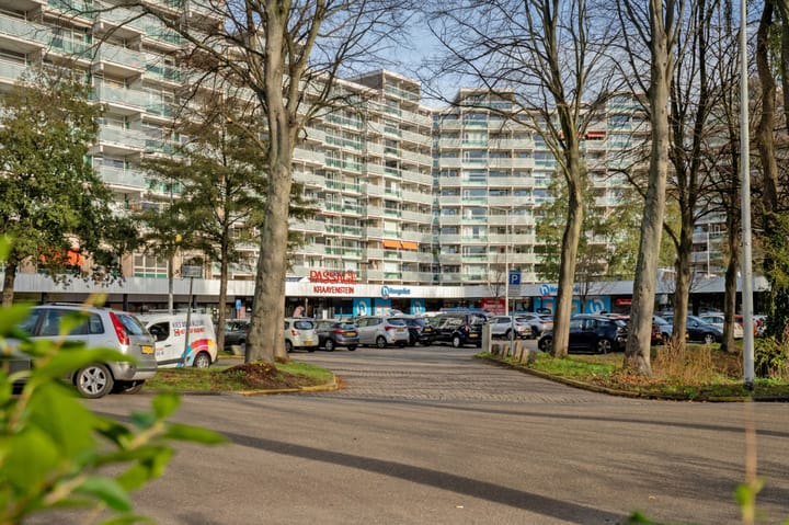 Forellendaal 972 in 's-Gravenhage foto