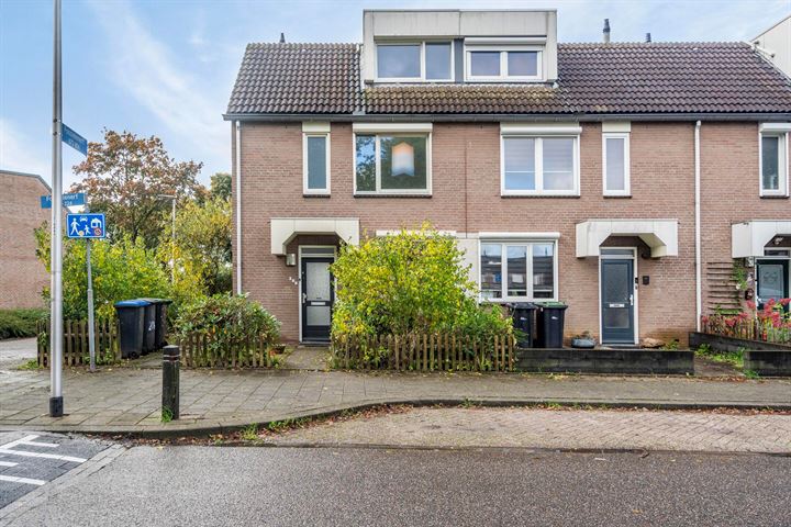Fossielenerf 206 in Heerlen foto